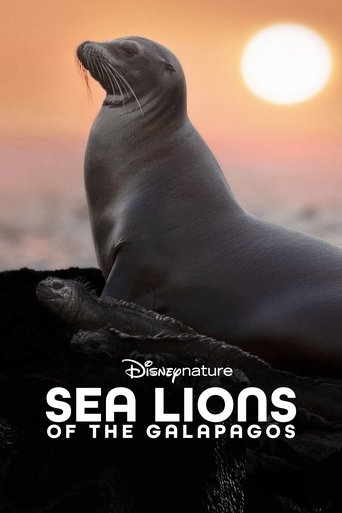 دانلود فیلم Sea Lions of the Galapagos 2025